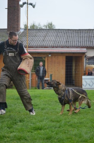 Foto 23 vom Vereinsleben des HSV Reichenbach, 2016