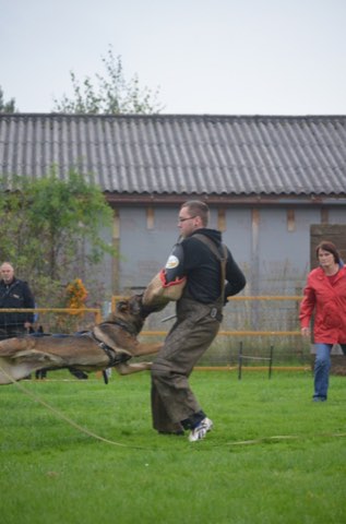 Foto 28 vom Vereinsleben des HSV Reichenbach, 2016