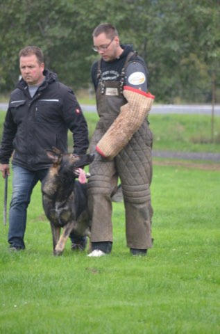 Foto 40 vom Vereinsleben des HSV Reichenbach, 2016
