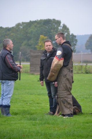 Foto 41 vom Vereinsleben des HSV Reichenbach, 2016