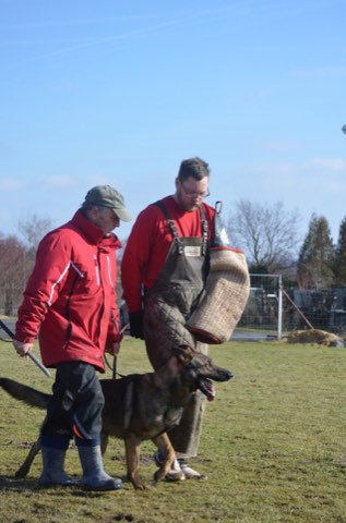 Foto 42 vom Vereinsleben des HSV Reichenbach, 2017