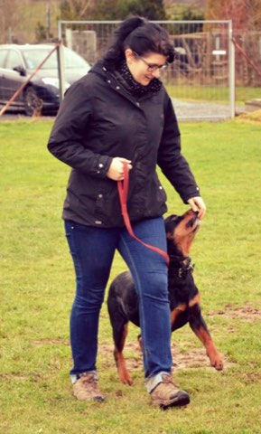 Foto 27 vom Vereinsleben des HSV Reichenbach, 2018