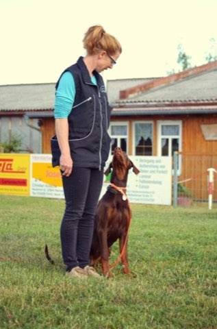 Foto 4 vom Vereinsleben des HSV Reichenbach, 2019