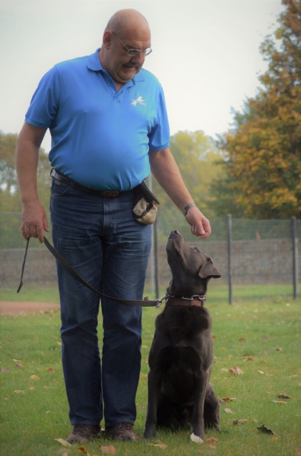 Trainer belohnt einen aufmerksamen Hund beim Grundgehorsam-Training