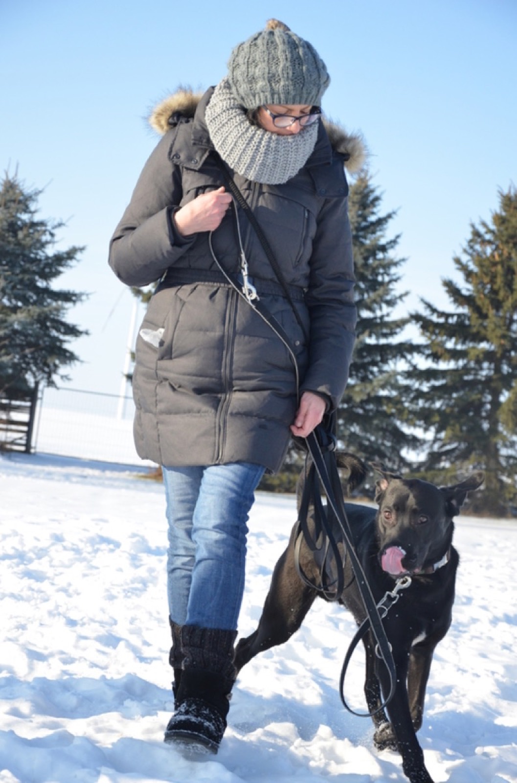 Spaziergang mit Hund im Schnee auf dem Vereinsgelände