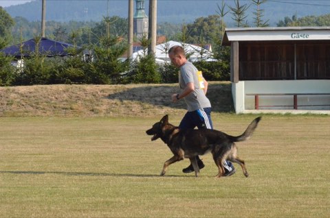 Foto 6 von LGA 2015, HSV Reichenbach