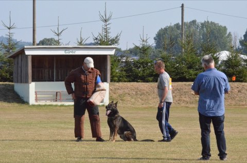 Foto 10 von LGA 2015, HSV Reichenbach