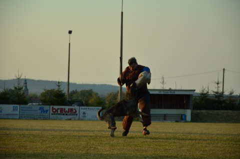 Foto 17 von LGA 2015, HSV Reichenbach