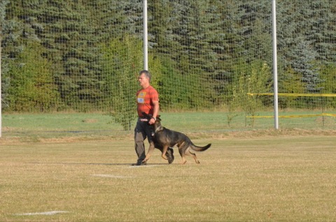 Foto 22 von LGA 2015, HSV Reichenbach