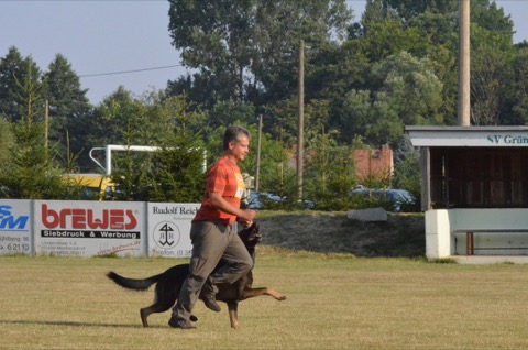 Foto 23 von LGA 2015, HSV Reichenbach