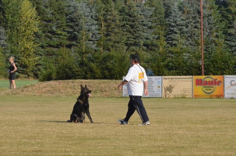 Foto 27 von LGA 2015, HSV Reichenbach