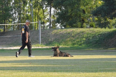 Foto 35 von LGA 2015, HSV Reichenbach