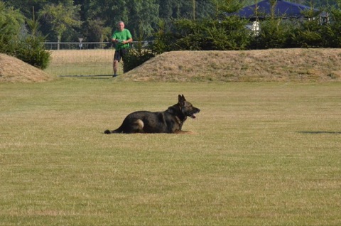Foto 37 von LGA 2015, HSV Reichenbach