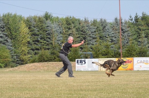 Foto 40 von LGA 2015, HSV Reichenbach
