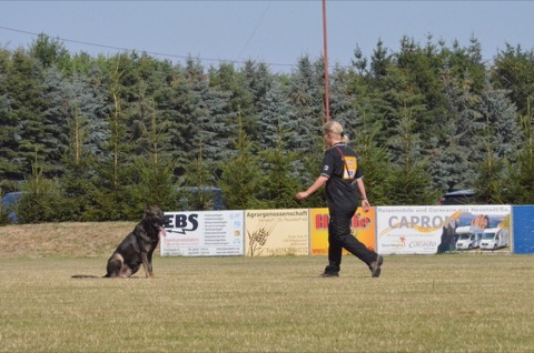 Foto 41 von LGA 2015, HSV Reichenbach