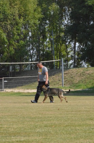 Foto 43 von LGA 2015, HSV Reichenbach
