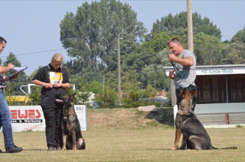 Foto 46 von LGA 2015, HSV Reichenbach