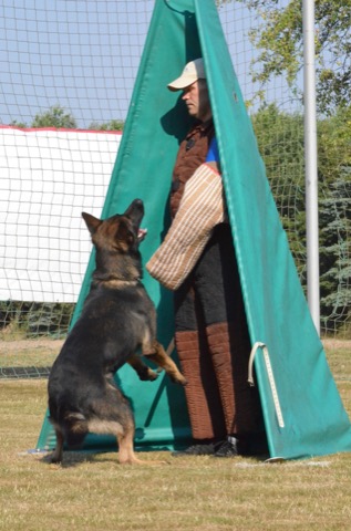 Foto 47 von LGA 2015, HSV Reichenbach