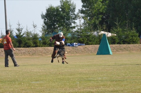 Foto 49 von LGA 2015, HSV Reichenbach