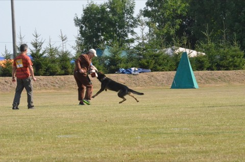 Foto 50 von LGA 2015, HSV Reichenbach