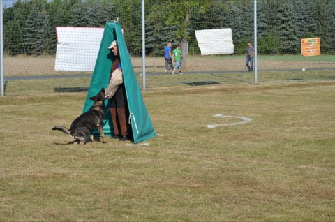 Foto 54 von LGA 2015, HSV Reichenbach