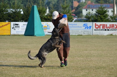 Foto 56 von LGA 2015, HSV Reichenbach