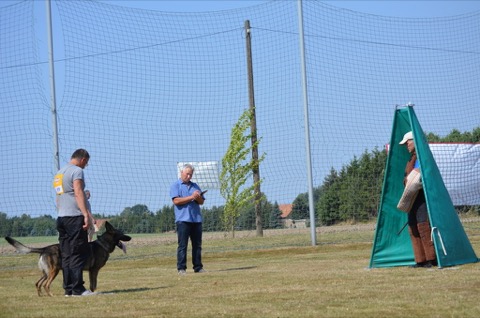 Foto 67 von LGA 2015, HSV Reichenbach