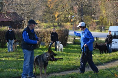 Foto 8 von Vereinsleben 2015–2017, HSV Reichenbach