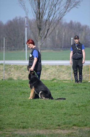 Foto 3 von Frühjahrsprüfung 2019, HSV Reichenbach
