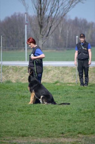 Foto 4 von Frühjahrsprüfung 2019, HSV Reichenbach
