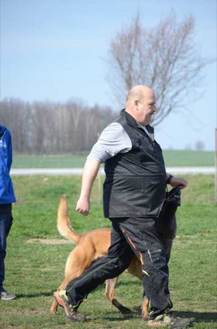 Foto 7 von Frühjahrsprüfung 2019, HSV Reichenbach