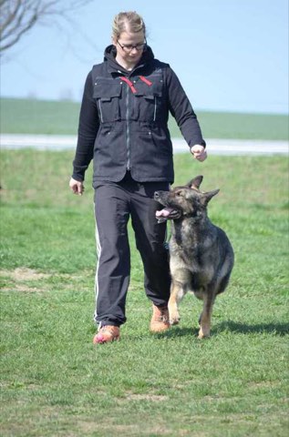 Foto 8 von Frühjahrsprüfung 2019, HSV Reichenbach