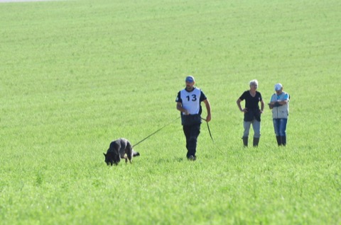 Foto 36 von LGA 2019, HSV Reichenbach